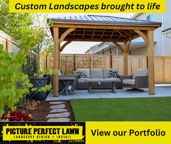 Picture Perfect Landscape