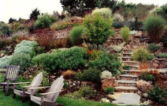 landscape design, landscape design