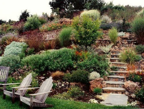 landscape design, landscape design