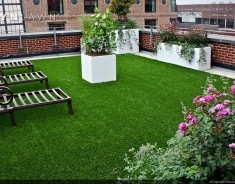 Artificial Grass